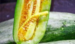 网红吃瓜官,揭秘娱乐圈幕后真相