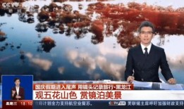 景鲤爆料新闻,揭秘娱乐圈最新热点事件