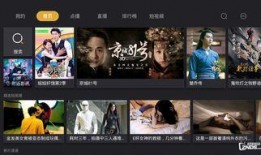 在线观看视频免播放