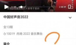 好声音工作人员爆料视频,工作人员爆料视频曝光精彩瞬间