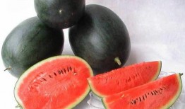 吃瓜网热门大瓜网红黑料,吃瓜网热门大瓜背后的真相