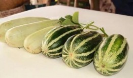 免费吃网红瓜的,免费吃网红瓜的幕后真相