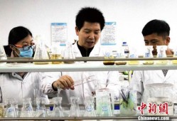 青海大学爆料新闻,揭秘校园风云事件背后的真相