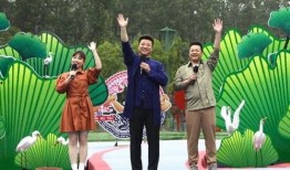 比亚迪李明爆料视频最新,揭秘新能源汽车行业重大突破与未来趋势