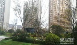华润湾九里爆料最新消息,揭秘神秘项目进展与亮点
