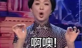 娱乐大爆料天王嫂是谁,娱乐大爆料背后的惊人真相