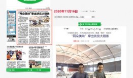 今天广西的爆料新闻最新,神秘事件引发全民热议