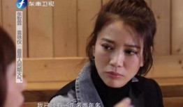 天涯爆料袁咏仪视频,天涯爆料背后的真相与争议