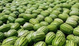 吃瓜网热门大瓜网红黑料,吃瓜网热门大瓜背后的真相