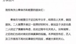 娱乐吃瓜张翰是谁啊视频,娱乐吃瓜界的风云人物