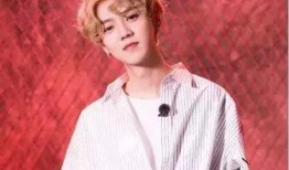 爆料鹿晗姐姐是谁呀视频,鹿晗姐姐身份之谜，视频爆料引发热议