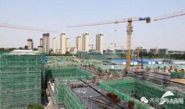 今日德州爆料新闻最新情况,重大事件引发社会关注