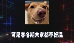 娱乐小八卦吃瓜,明星们的幕后故事与幕后操作