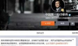 熊猫狗仔爆料视频在线观看,热门视频幕后花絮大公开