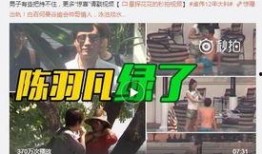 陈奕诺最新爆料新闻视频,揭秘娱乐圈惊人内幕！