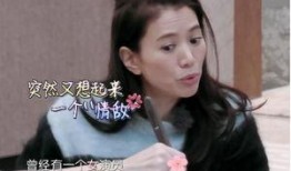 天涯爆料袁咏仪视频,天涯爆料背后的真相与争议