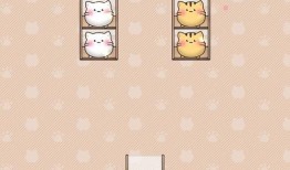 小奇外卖爆料视频下载,外卖行业幕后真相大曝光