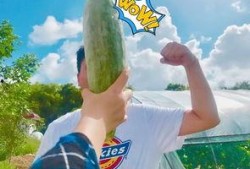 吃瓜网红故事简介,网红吃瓜背后的故事揭秘