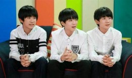 今日爆料王源王俊凯视频,幕后真相引网友热议