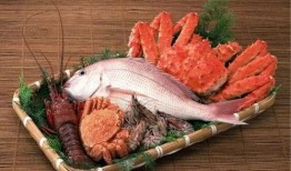 日本海鲜老板爆料视频大全,海鲜行业内幕大揭秘
