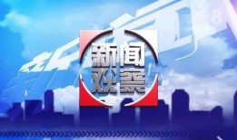 今日德州爆料新闻最新情况,重大事件引发社会关注