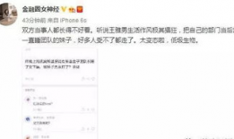 河北女子爆料新闻事件,揭开背后惊人真相