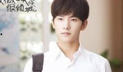 杨洋最新 爆料消息新闻,揭秘明星背后的故事与挑战