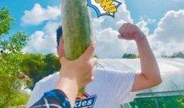 网红喆吃瓜,揭秘网红幕后故事，带你走进娱乐圈的真相世界