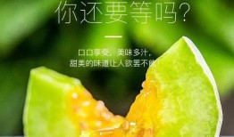 免费吃网红瓜的,免费吃网红瓜的幕后真相