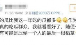 上进娱乐吃瓜群众