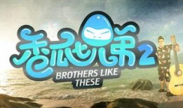 吃瓜王第二季免费观看,免费解锁，揭秘娱乐圈幕后风云