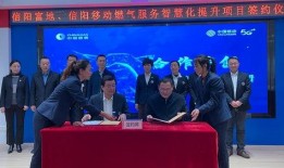 信阳燃气公司最新爆料,揭秘燃气安全与监管新动态