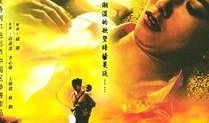 新寡在线观看,揭秘现代都市情感纠葛