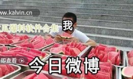 直播吃瓜免费爆料合集,免费爆料合集大揭秘