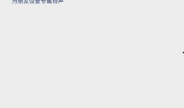 爆料语音视频大全,独家爆料带你领略视听盛宴