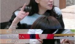 天涯爆料袁咏仪视频,天涯爆料背后的真相与争议