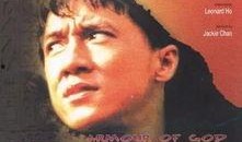 龙兄虎弟电影在线观看,兄弟情深，热血江湖