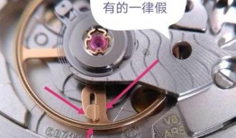 八卦爆料真假辨别视频教程,八卦爆料真假辨别视频教程深度解析