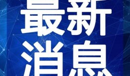 小盒鱼爆料视频大全最新,揭秘娱乐圈幕后故事