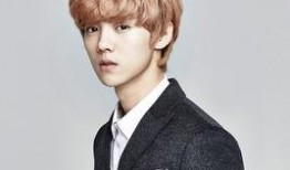 爆料鹿晗姐姐是谁呀视频,鹿晗姐姐身份之谜，视频爆料引发热议