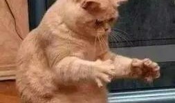 爆料新闻搞笑段子