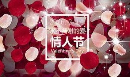 情人节爆料酒店视频,揭秘浪漫背后的秘密