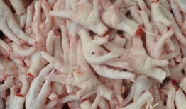 小摊鸡爪爆料怎么做视频,揭秘视频制作背后的秘密