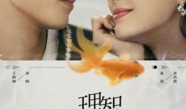 王鹤棣秦岚爆料视频播放,幕后故事大揭秘