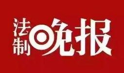 奇闻爆料热讯视频,揭秘热讯视频中的神秘奇闻事件