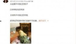 有网友爆料粽子吗视频播放,粽子视频播放引发热议，网友热议背后的故事