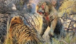 太原二虎爆料视频最新,揭秘事件背后惊人真相