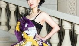 何超琼照片爆料最新图片,优雅魅力依旧，风采依旧不减当年