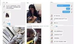 别人发的爆料视频,爆料视频揭露惊人内幕，真相令人震惊！