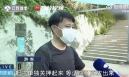 网红喆吃瓜,揭秘网红幕后故事，带你走进娱乐圈的真相世界